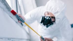 Best Residential Pest Control  in Ridgeland, MS